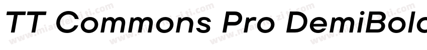 TT Commons Pro DemiBold字体转换